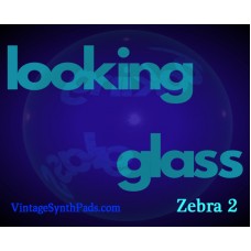 Looking Glass for Zebra 2